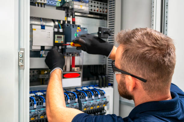 Best Electric Panel Repair  in Sorrento, LA