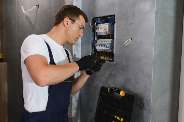 Best Electrical System Inspection  in Sorrento, LA